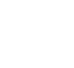 Logo Ryad Selyen white